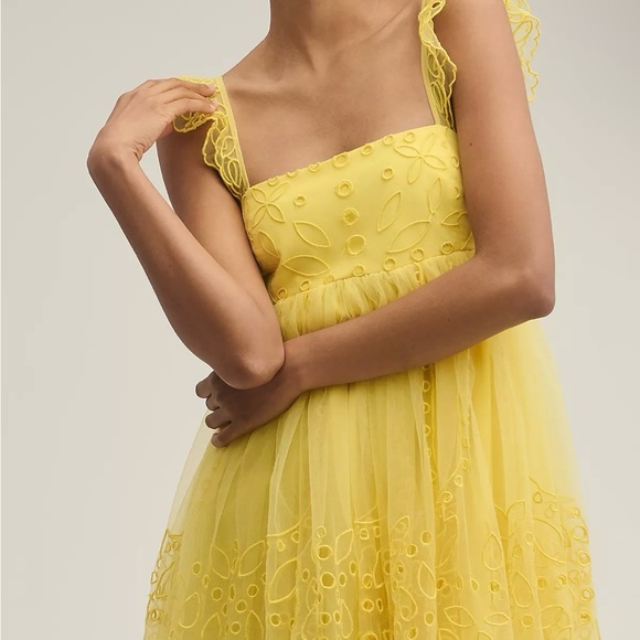 NWT $198 Anthropology Let Me Be Eyelet Tulle Mini Dress - Picture 4 of 5